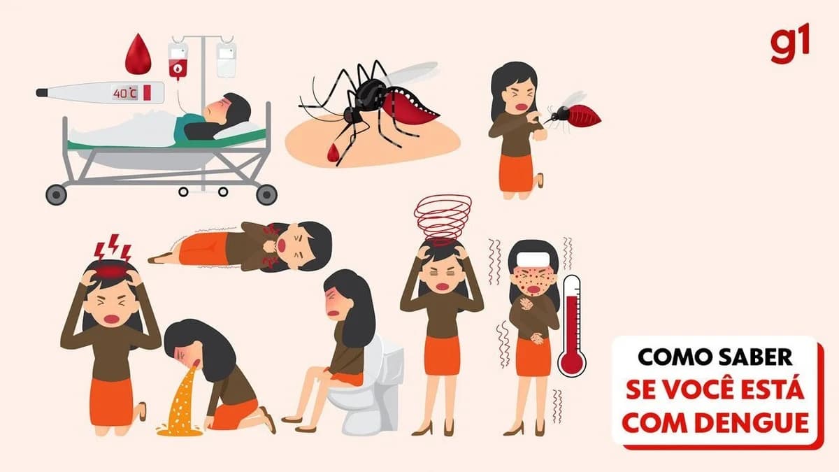 Ameaça da Dengue: saiba identificar os sintomas, proteger-se e as providências do governo