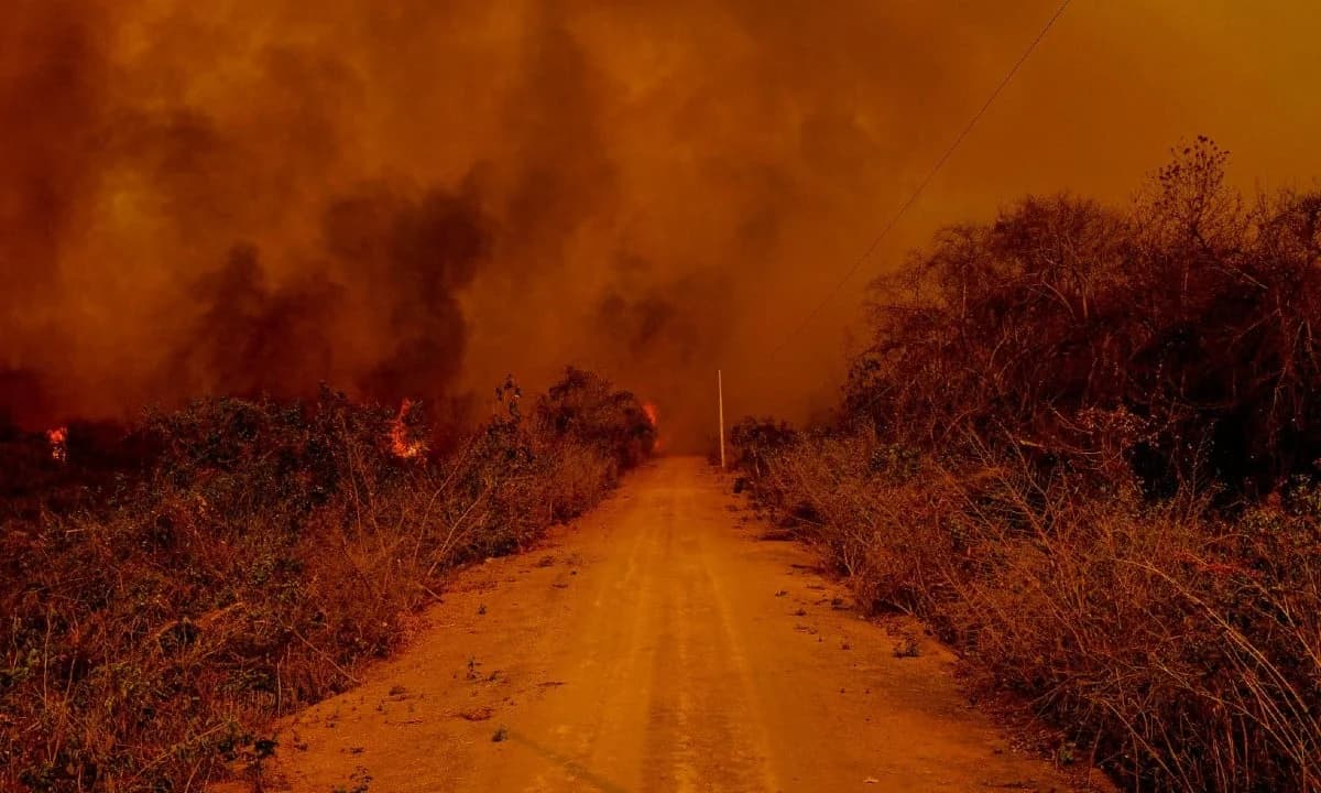 Lula toma frente na luta contra os incêndios históricos no Pantanal