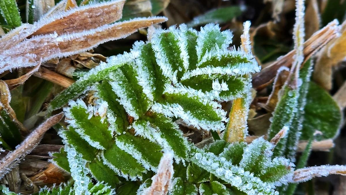 Frio intenso vem aí: Calor dá lugar a temperaturas até 14°C mais baixas nas capitais