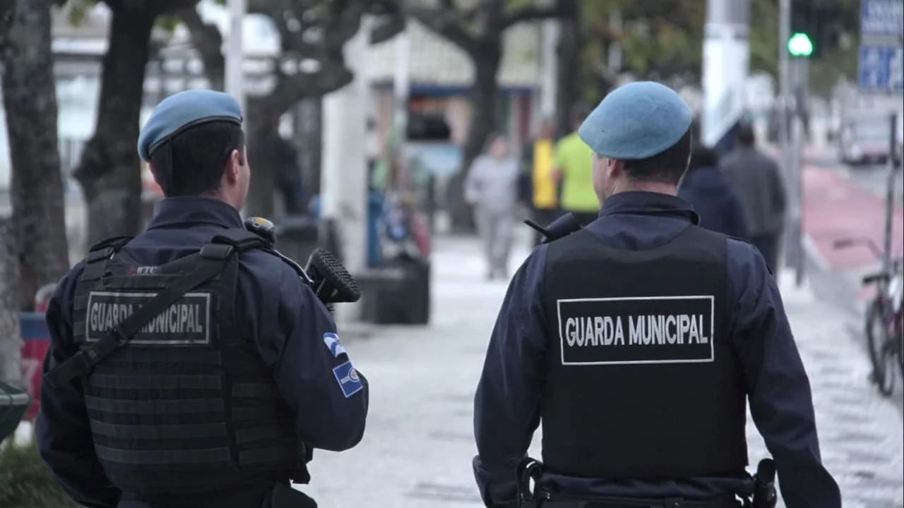 Bonificação para fiscalização de maconha em Balneário Camboriú: Um perigo, diz especialista!