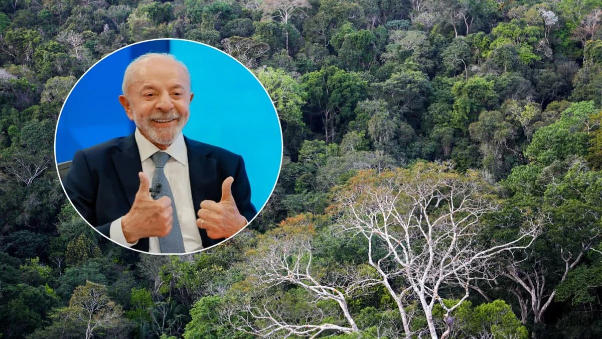 Histórico: Governo Lula salva Amazônia e atinge menor desmatamento já registrado